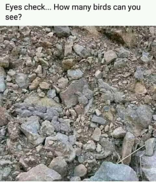 image tagged in memes,funny,msmg | made w/ Imgflip meme maker