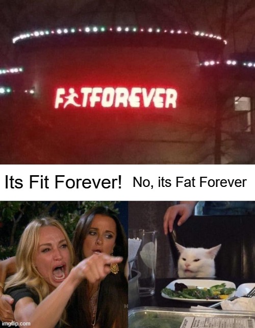 Woman Yelling At Cat Meme | Its Fit Forever! No, its Fat Forever | image tagged in memes,woman yelling at cat,funny,fails | made w/ Imgflip meme maker