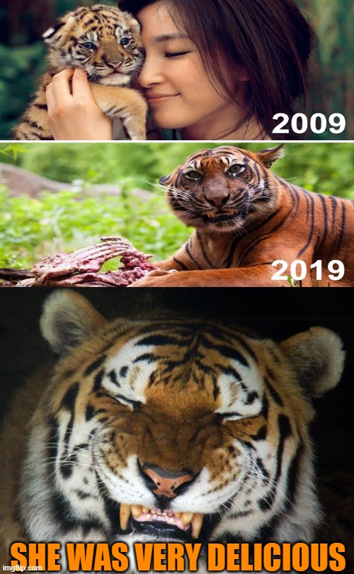 HAPPY TIGER | SHE WAS VERY DELICIOUS | image tagged in happy tiger,dark humor,memes,tiger | made w/ Imgflip meme maker