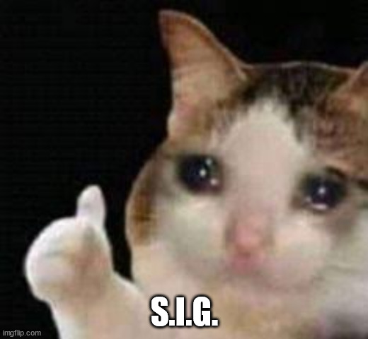 Approved crying cat | S.I.G. | image tagged in approved crying cat | made w/ Imgflip meme maker