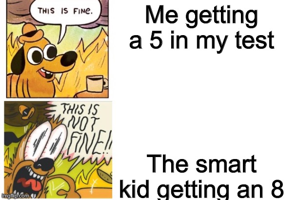 I got this idea in a test | Me getting a 5 in my test; The smart kid getting an 8 | image tagged in this is fine this is not fine correct text boxes,test | made w/ Imgflip meme maker
