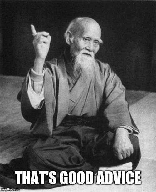 Wise Master | THAT'S GOOD ADVICE | image tagged in wise master | made w/ Imgflip meme maker