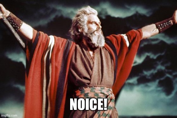 punny moses | NOICE! | image tagged in punny moses | made w/ Imgflip meme maker