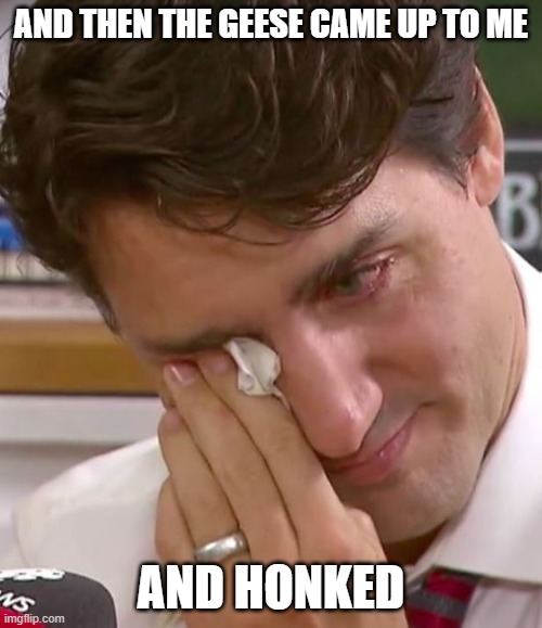 Fowl play! | AND THEN THE GEESE CAME UP TO ME; AND HONKED | image tagged in justin trudeau crying,honk,convoy,freedom convoy | made w/ Imgflip meme maker