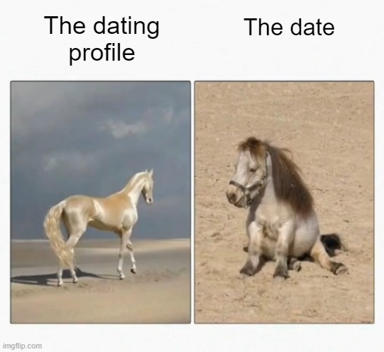 The camera adds 20 pounds--Photoshop takes off 50 | The date; The dating profile | image tagged in memes,dating,tinder | made w/ Imgflip meme maker