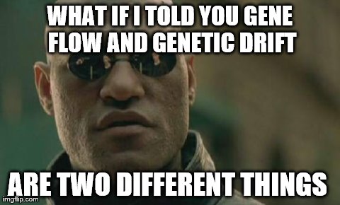 Matrix Morpheus Meme | WHAT IF I TOLD YOU GENE FLOW AND GENETIC DRIFT ARE TWO DIFFERENT THINGS | image tagged in memes,matrix morpheus | made w/ Imgflip meme maker