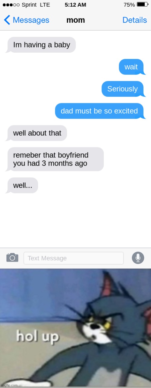 image tagged in funny text,hol up | made w/ Imgflip meme maker
