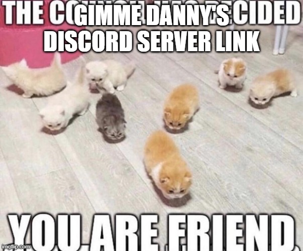 The council has decided | GIMME DANNY'S DISCORD SERVER LINK | image tagged in the council has decided | made w/ Imgflip meme maker