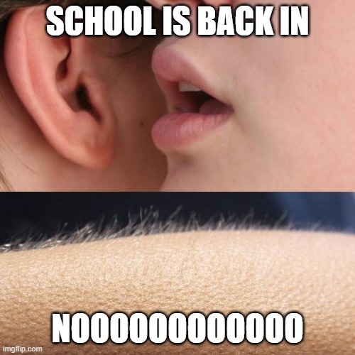 No school | SCHOOL IS BACK IN; NOOOOOOOOOOOO | image tagged in whisper and goosebumps | made w/ Imgflip meme maker