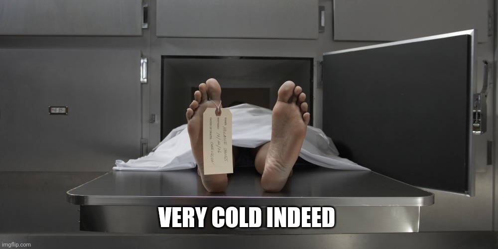 Morgue feet | VERY COLD INDEED | image tagged in morgue feet | made w/ Imgflip meme maker