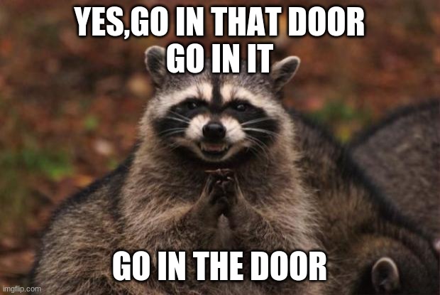 evil genius racoon | YES,GO IN THAT DOOR
GO IN IT; GO IN THE DOOR | image tagged in evil genius racoon | made w/ Imgflip meme maker