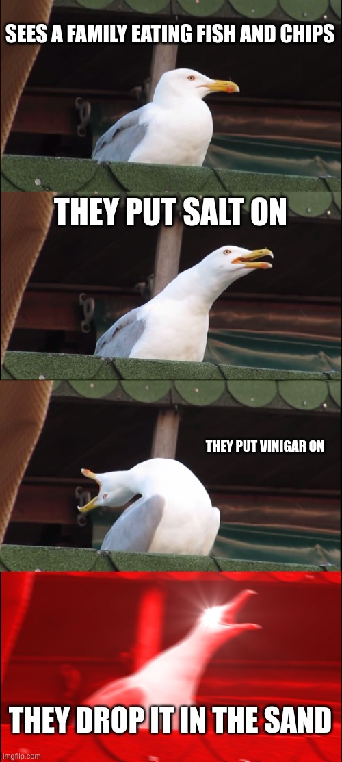 sd | SEES A FAMILY EATING FISH AND CHIPS; THEY PUT SALT ON; THEY PUT VINIGAR ON; THEY DROP IT IN THE SAND | image tagged in memes,inhaling seagull | made w/ Imgflip meme maker
