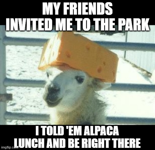 Llama Invite You | MY FRIENDS INVITED ME TO THE PARK; I TOLD 'EM ALPACA LUNCH AND BE RIGHT THERE | image tagged in llama cheese hat | made w/ Imgflip meme maker