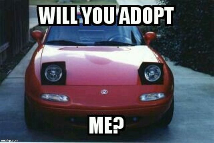 one of the most innocent cars in the world | image tagged in maita,adopted | made w/ Imgflip meme maker