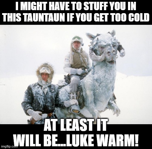 Your TaunTaun Will Freeze Before You Reach the 2nd Marker | I MIGHT HAVE TO STUFF YOU IN THIS TAUNTAUN IF YOU GET TOO COLD; AT LEAST IT WILL BE...LUKE WARM! | image tagged in tauntaun | made w/ Imgflip meme maker