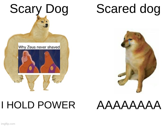 MEME DOG ZEUS | Scary Dog; Scared dog; I HOLD POWER; AAAAAAAA | image tagged in memes,buff doge vs cheems | made w/ Imgflip meme maker