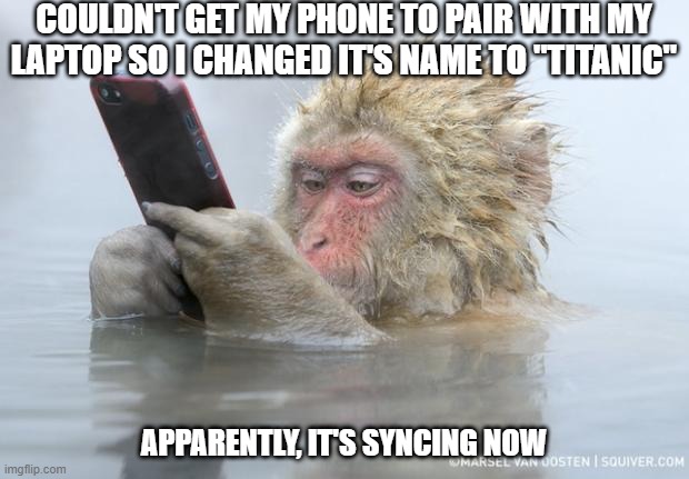 Phone Issues | COULDN'T GET MY PHONE TO PAIR WITH MY LAPTOP SO I CHANGED IT'S NAME TO "TITANIC"; APPARENTLY, IT'S SYNCING NOW | image tagged in monkey mobile phone | made w/ Imgflip meme maker