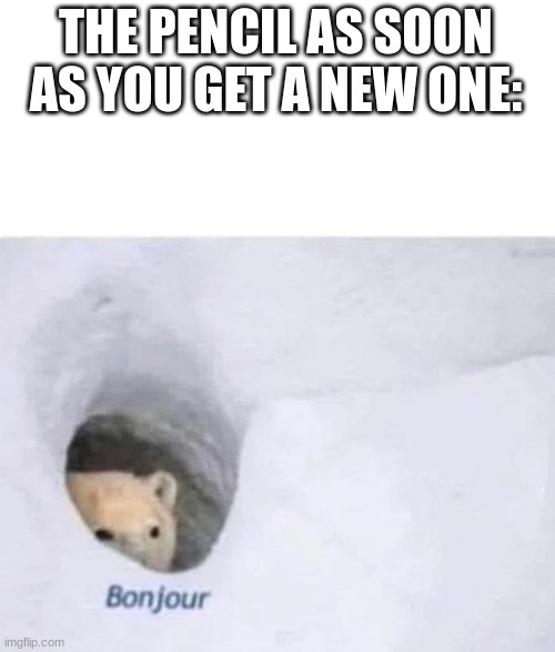 Bonjour | THE PENCIL AS SOON AS YOU GET A NEW ONE: | image tagged in bonjour | made w/ Imgflip meme maker