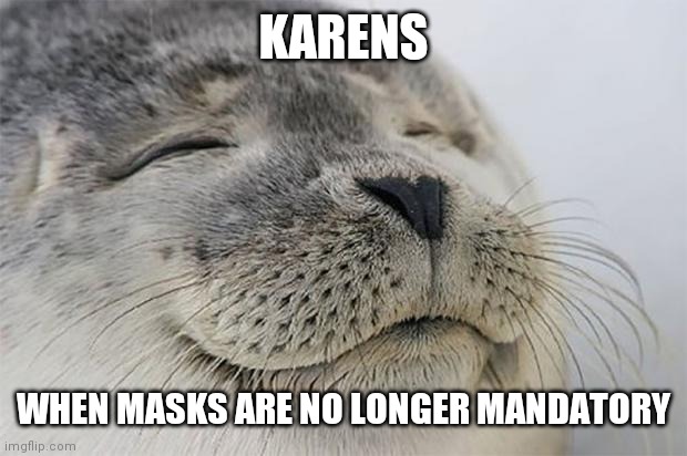 Satisfied Seal | KARENS; WHEN MASKS ARE NO LONGER MANDATORY | image tagged in memes,satisfied seal,karens,masks,covid-19 | made w/ Imgflip meme maker