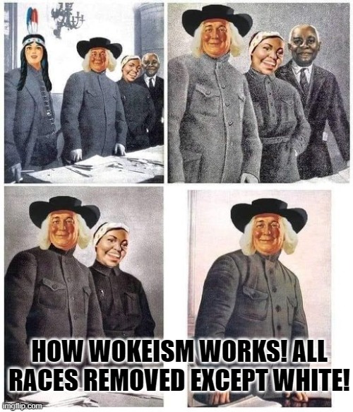 How Wokeism works! All races removed except white! | HOW WOKEISM WORKS! ALL RACES REMOVED EXCEPT WHITE! | image tagged in woke | made w/ Imgflip meme maker