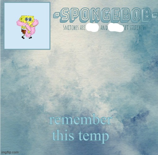 sad moment | remember this temp | image tagged in sponge temp | made w/ Imgflip meme maker