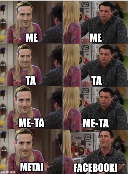 word fun | ME; ME; TA; TA; ME-TA; ME-TA; META! FACEBOOK! | image tagged in phoebe joey | made w/ Imgflip meme maker