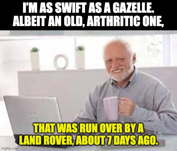 Swift | I’M AS SWIFT AS A GAZELLE. ALBEIT AN OLD, ARTHRITIC ONE, THAT WAS RUN OVER BY A LAND ROVER, ABOUT 7 DAYS AGO. | image tagged in harold | made w/ Imgflip meme maker