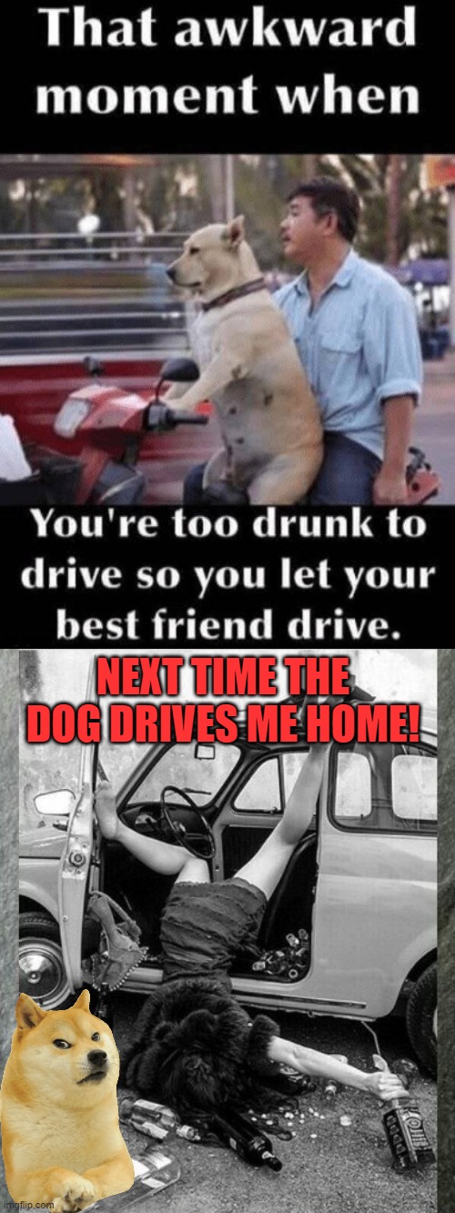 ...... NEXT TIME THE DOG DRIVES ME HOME! | image tagged in drunken lady on a sunday morning | made w/ Imgflip meme maker