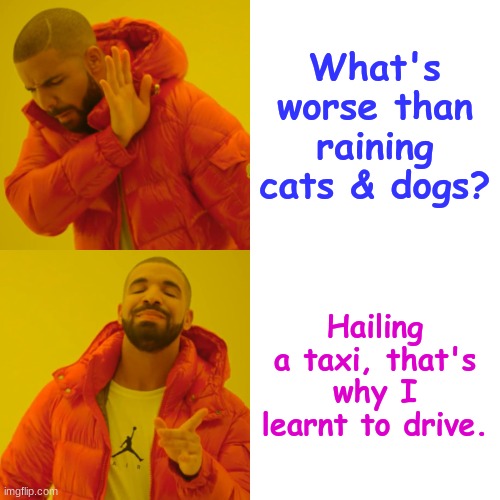 Nothing's worse than raining cats & dogs... | What's worse than raining cats & dogs? Hailing a taxi, that's why I learnt to drive. | image tagged in memes,drake hotline bling,driving | made w/ Imgflip meme maker
