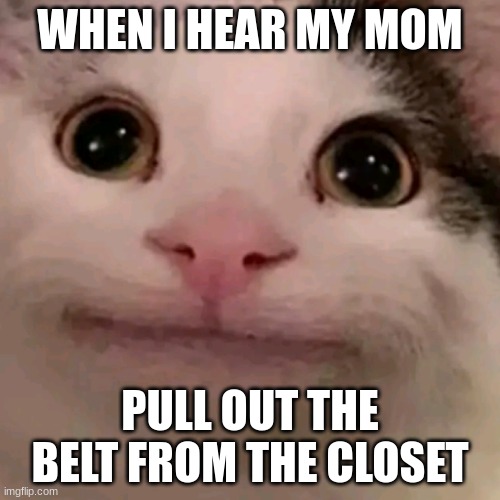 When I'm bored at school | WHEN I HEAR MY MOM; PULL OUT THE BELT FROM THE CLOSET | image tagged in beluga | made w/ Imgflip meme maker