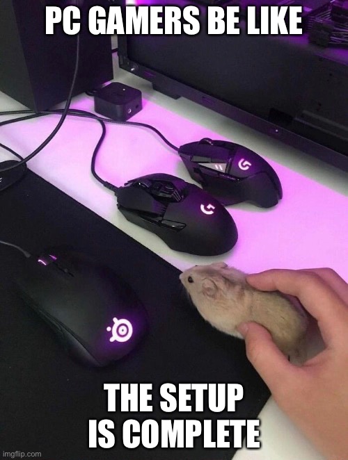 Gamer reference | PC GAMERS BE LIKE; THE SETUP IS COMPLETE | image tagged in gamers | made w/ Imgflip meme maker