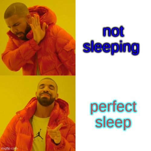 Drake Hotline Bling Meme | not sleeping; perfect sleep | image tagged in memes,drake hotline bling | made w/ Imgflip meme maker