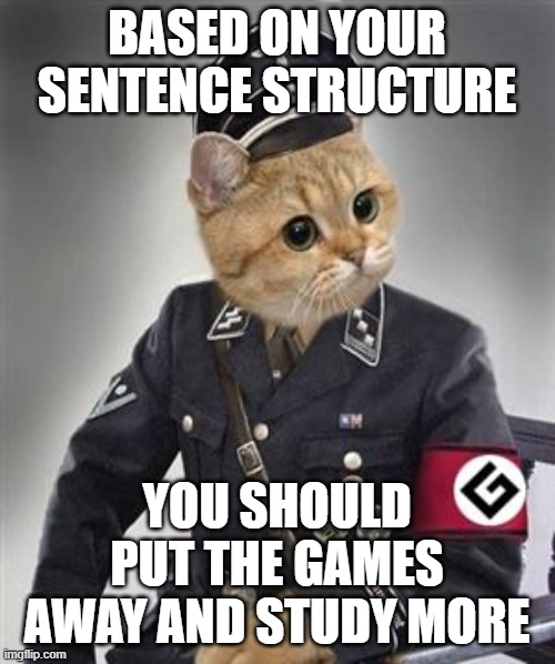 Grammar Nazi Cat | BASED ON YOUR SENTENCE STRUCTURE YOU SHOULD PUT THE GAMES AWAY AND STUDY MORE | image tagged in grammar nazi cat | made w/ Imgflip meme maker