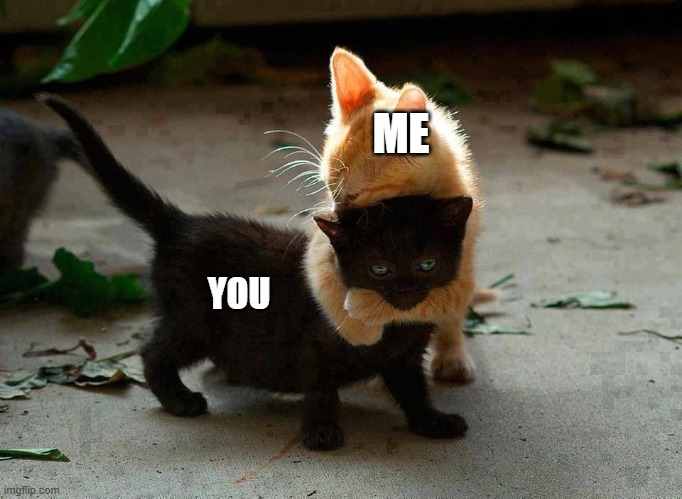 kitten hug | ME YOU | image tagged in kitten hug | made w/ Imgflip meme maker