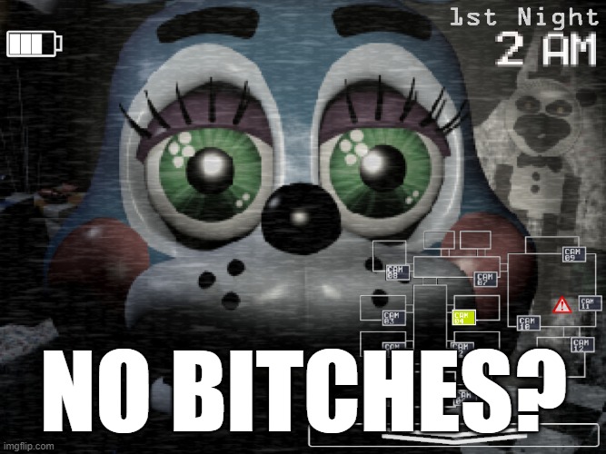 homemade | NO BITCHES? | image tagged in fnaf2,fnaf meme,meme,nobitches | made w/ Imgflip meme maker