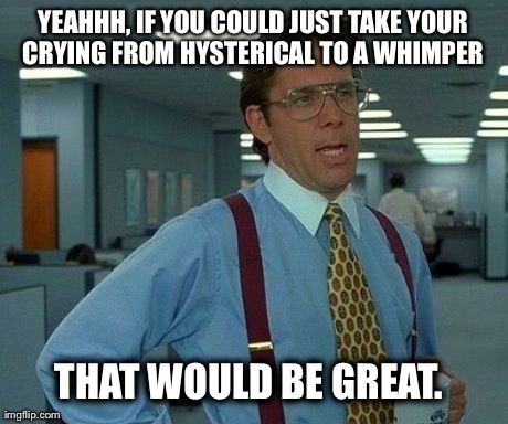 That Would Be Great Meme | YEAHHH, IF YOU COULD JUST TAKE YOUR CRYING FROM HYSTERICAL TO A WHIMPER  THAT WOULD BE GREAT. | image tagged in memes,that would be great,AdviceAnimals | made w/ Imgflip meme maker