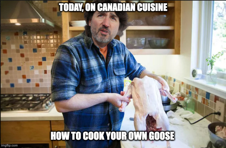 Trucked By His Own Hand | TODAY, ON CANADIAN CUISINE; HOW TO COOK YOUR OWN GOOSE | image tagged in trudeau,socialism | made w/ Imgflip meme maker