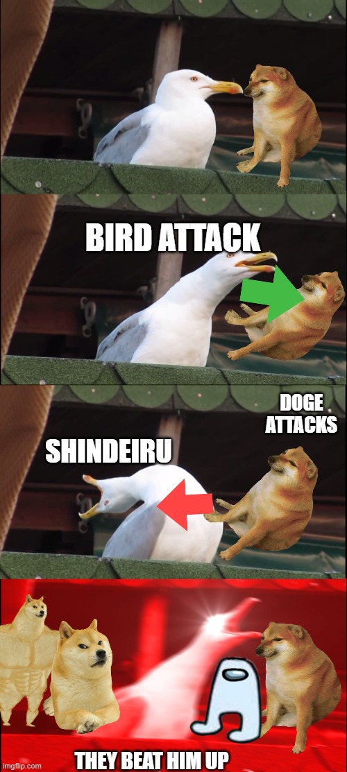 Inhaling Seagull | BIRD ATTACK; DOGE ATTACKS; SHINDEIRU; THEY BEAT HIM UP | image tagged in memes,inhaling seagull | made w/ Imgflip meme maker