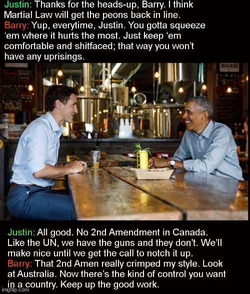 Trudeau and Obama talk domination and control over a brewski in some pub north of the border | image tagged in memes,political,trudeay,obama | made w/ Imgflip meme maker