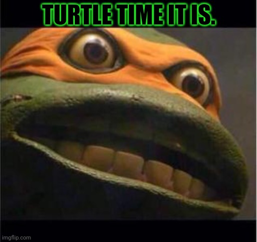 teen age mutant ninja turtle | TURTLE TIME IT IS. | image tagged in teen age mutant ninja turtle | made w/ Imgflip meme maker