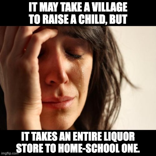 Village | IT MAY TAKE A VILLAGE TO RAISE A CHILD, BUT; IT TAKES AN ENTIRE LIQUOR STORE TO HOME-SCHOOL ONE. | image tagged in memes,first world problems | made w/ Imgflip meme maker