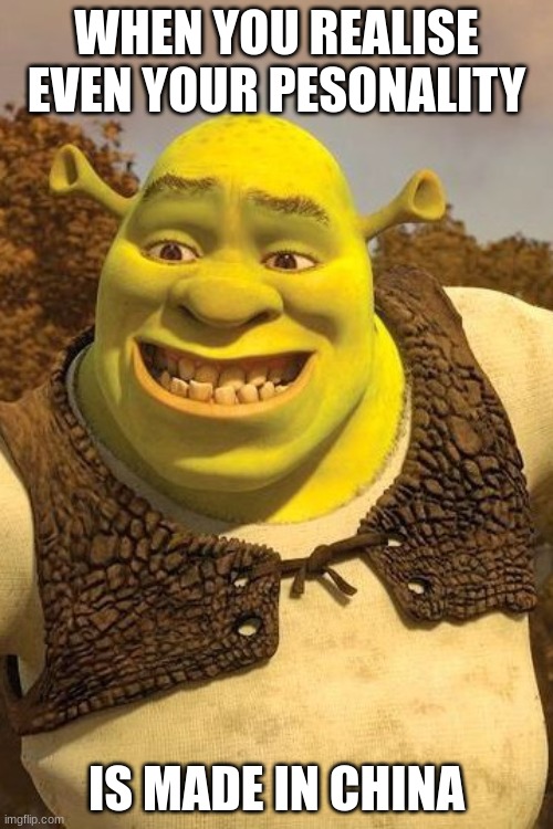 Smiling Shrek |  WHEN YOU REALISE  EVEN YOUR PESONALITY; IS MADE IN CHINA | image tagged in smiling shrek | made w/ Imgflip meme maker