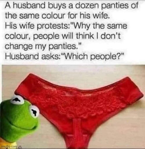 Panty People ! | image tagged in colour | made w/ Imgflip meme maker