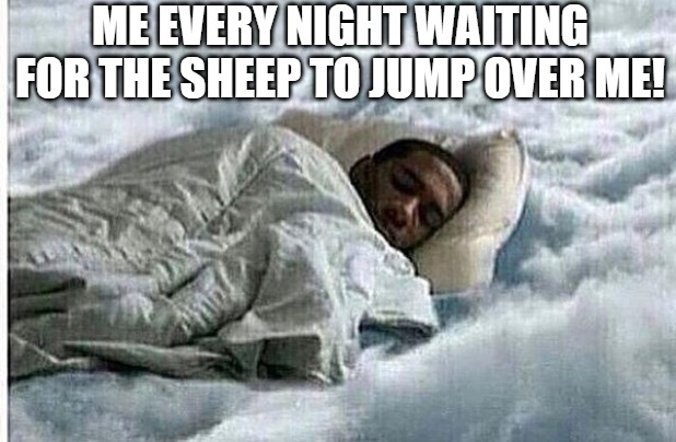 nite nite | ME EVERY NIGHT WAITING FOR THE SHEEP TO JUMP OVER ME! | image tagged in how i sleep | made w/ Imgflip meme maker
