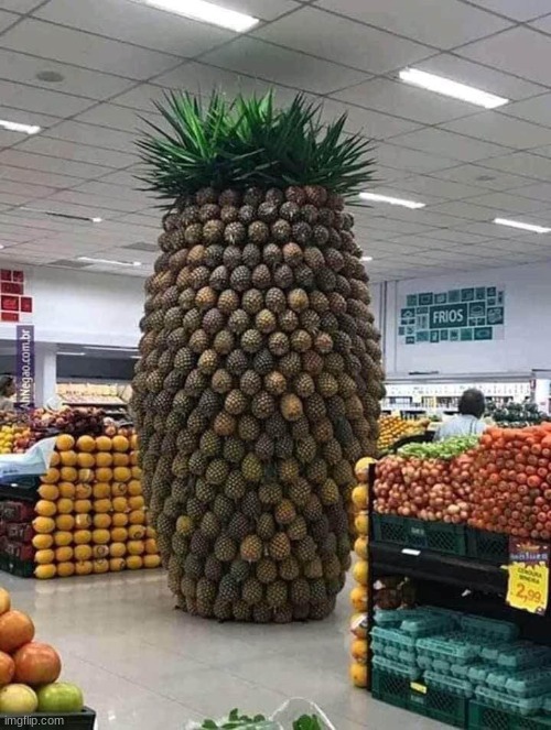 GIGA PINEAPPLE | image tagged in wtf,pineapple | made w/ Imgflip meme maker