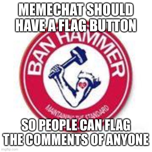 ban hammer | MEMECHAT SHOULD HAVE A FLAG BUTTON; SO PEOPLE CAN FLAG THE COMMENTS OF ANYONE | image tagged in ban hammer | made w/ Imgflip meme maker
