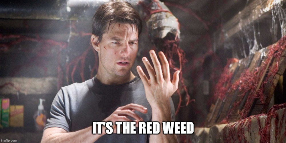 war of the worlds | IT'S THE RED WEED | image tagged in war of the worlds | made w/ Imgflip meme maker