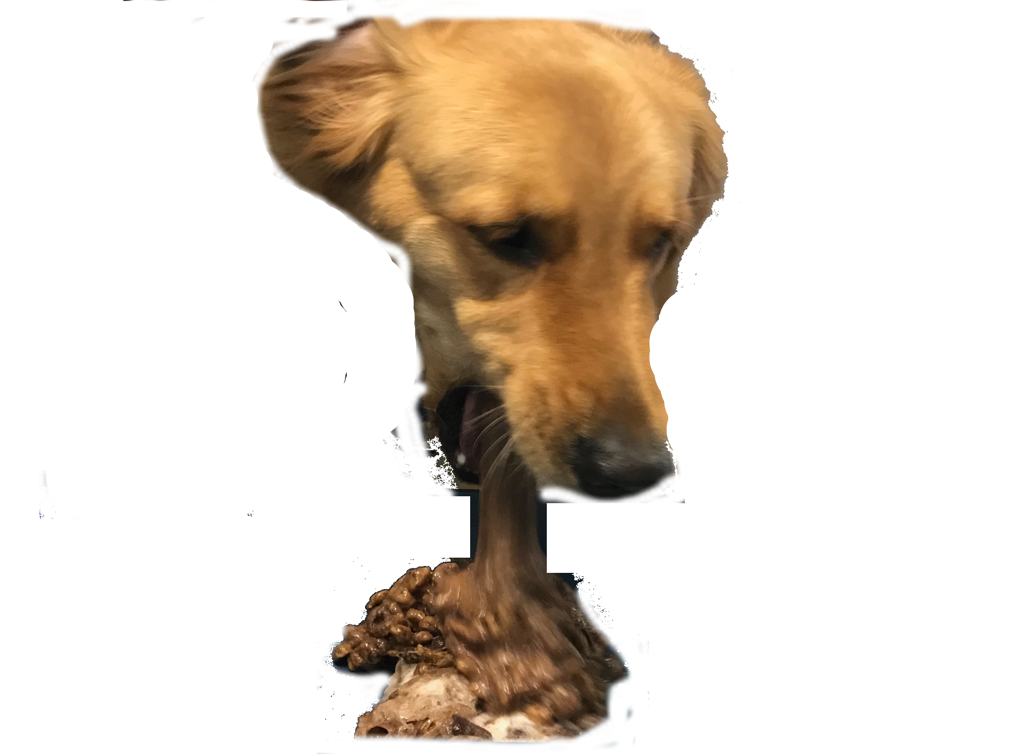 vommit at the thought of that Blank Meme Template