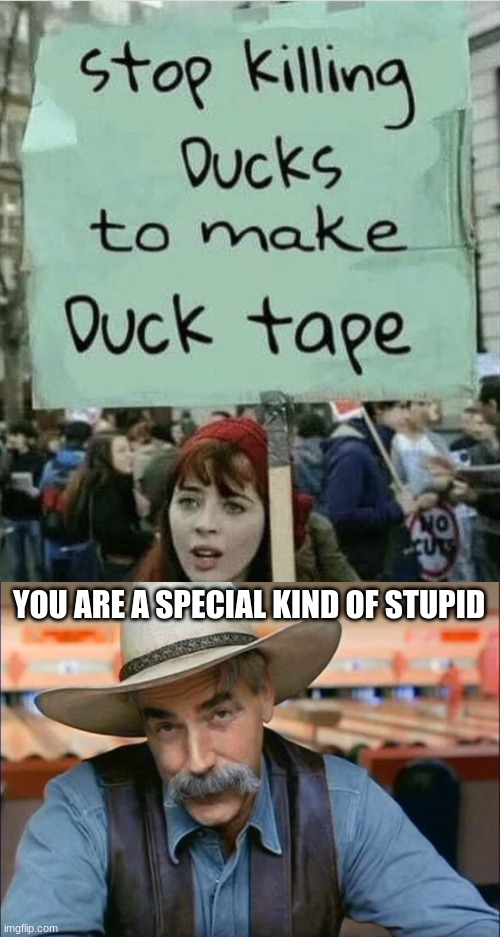 Wait what | YOU ARE A SPECIAL KIND OF STUPID | image tagged in sam elliott special kind of stupid,duck,tape | made w/ Imgflip meme maker