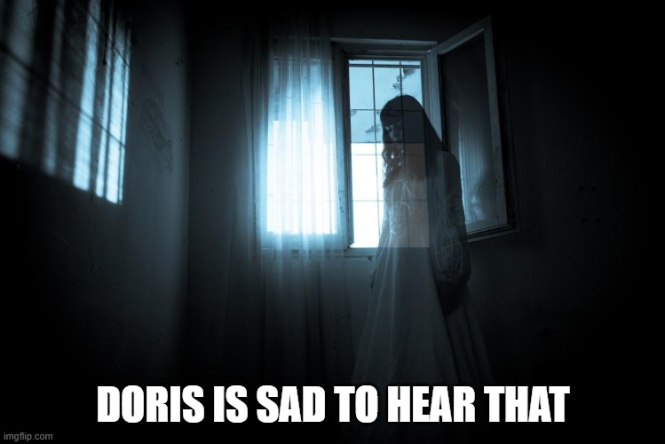 Sad Ghost | DORIS IS SAD TO HEAR THAT | image tagged in ghost,sad | made w/ Imgflip meme maker